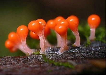 企业文化的精神所在