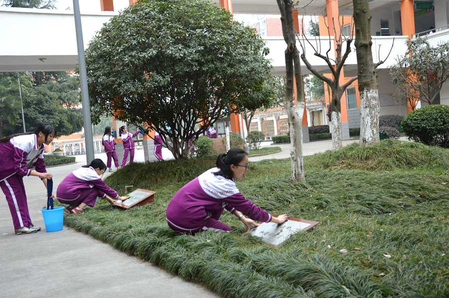 提升学校的文化品位和校园美化