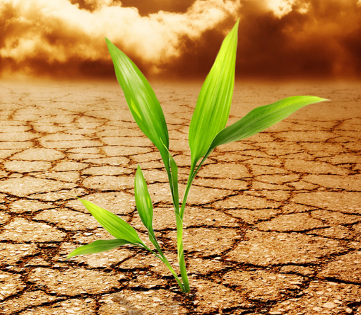 设计LOGO的作用的简述