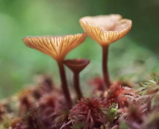 设计是以什么为标准的！