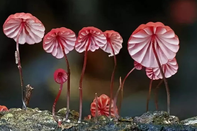 品牌与商标，你真的了解吗？