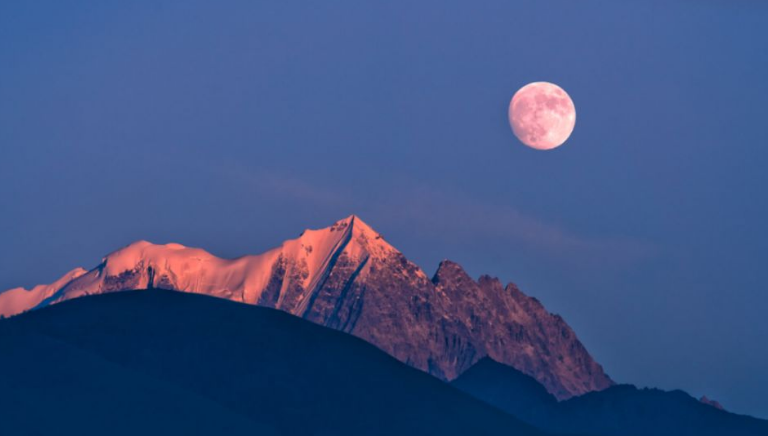 视觉传达设计是现代商业服务的主流去向！