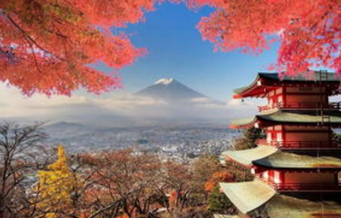 日本校园文化特色设计在哪？
