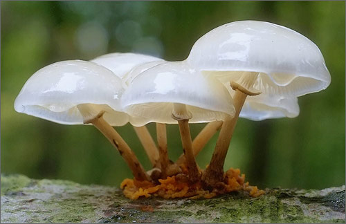 设计传递信息的要求以及客户对设计的期待！