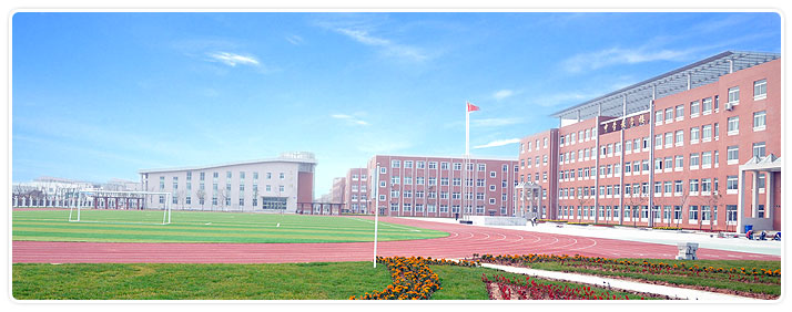 校园文化建设总结