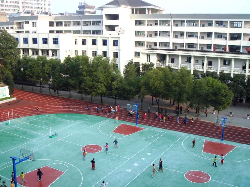 小学校园文化建设方案